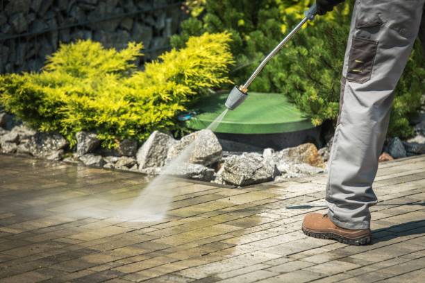 Best Roof Washing  in Odessa, FL